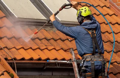 Démoussage et hydrofuge de toiture à Bombon